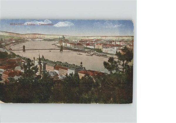 Budapest Totalansicht Donau Brücke