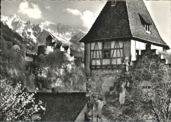 Liechtenstein  Schloss Vaduz mit Rappenstein und Falkn