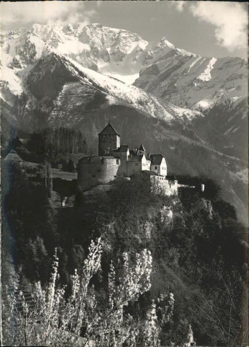 Liechtenstein  Schloss Vaduz