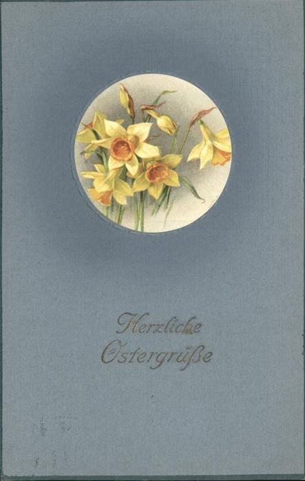 Ostern Easter Paques Narzisse