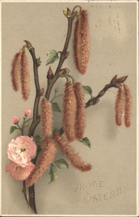 Ostern Easter Paques Frühlingsblume