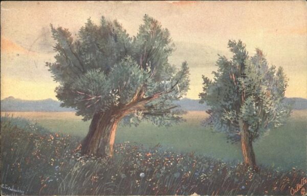 Verlag Tucks Oilette Nr. 805 E.v. Lindenberg Pastell-Landschaft