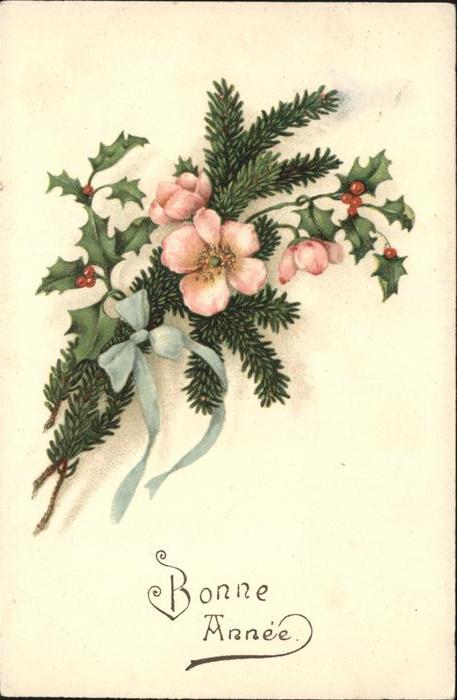 Neujahr Blumen Weihnachtszweig Schleife Frankre