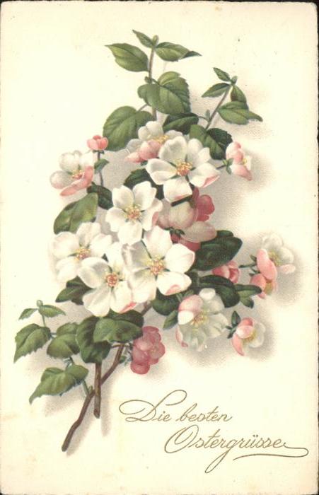 Verlag Meissner und Buch 3031 Ostern Blumen