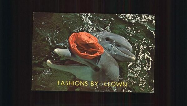 Delfine Delphine Dolphins Dauphins Delfi Seaquarium Miami Florida Clown Hut