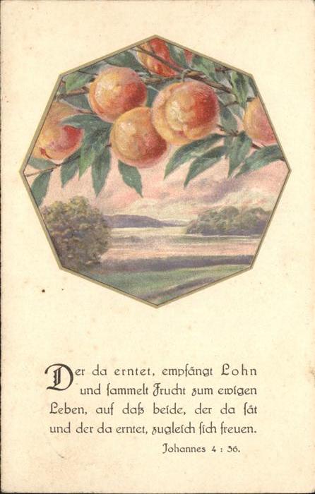 Obst Psalm Johannes 4:36