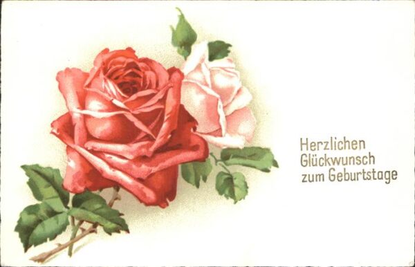 Rosen Geburtstag
