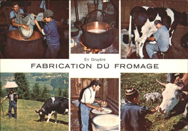 Milchwirtschaft Käse En Gruyere