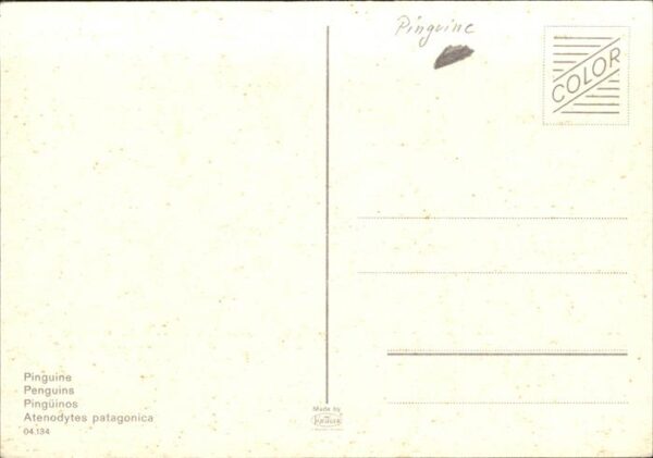 Pinguin – Bild 2