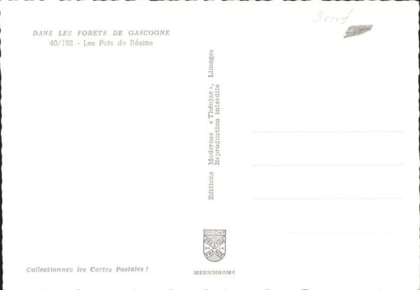 Baeume Trees Forets de Gascogne Pots de Resine – Bild 2
