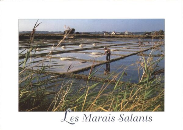 Salzgewinnung Salinenarbeiter Marais Salants Cote d_A