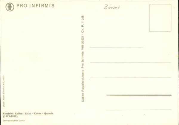 Keller Gottfried Eiche Baum – Bild 2