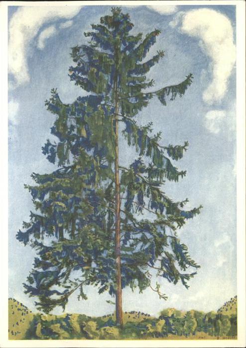 Hodler Ferdinand Die Tanne Baum Le sapin L'abere
