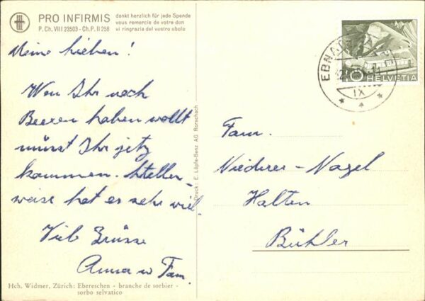 Kuenstlerkarte Hch. Widmer Ebereschen sorbo selvatico – Bild 2