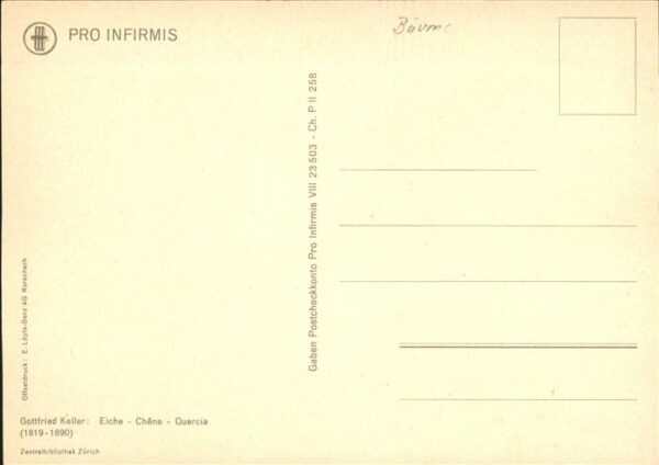 Keller Gottfried Eiche Chene Quercia Baum – Bild 2