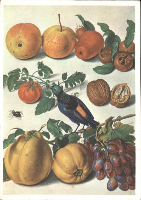 Obst Apfel Tomate Trauben Walnuss Johann Jak