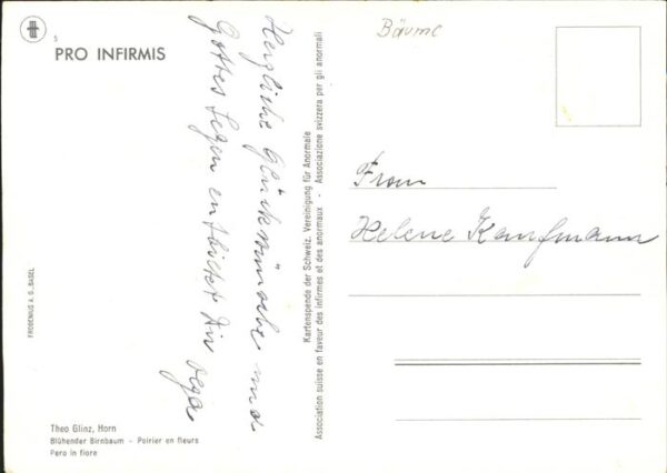 Baeume Trees Birnbaum Pero in fiore Künstlerkarte Th – Bild 2