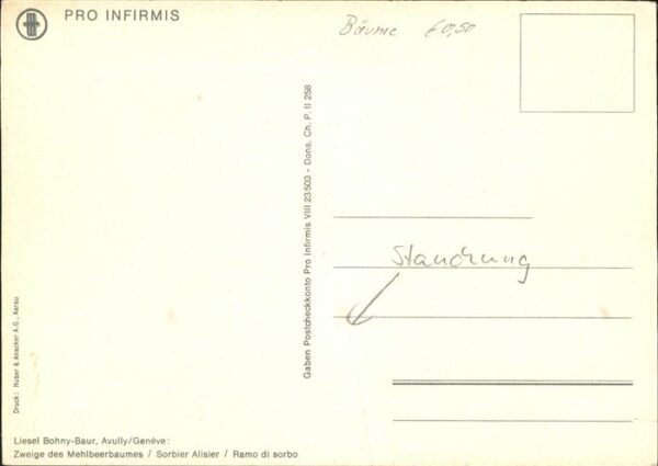 Kuenstlerkarte Liesel Bohny-Baur Zweige Mehlbeerbaum S – Bild 2