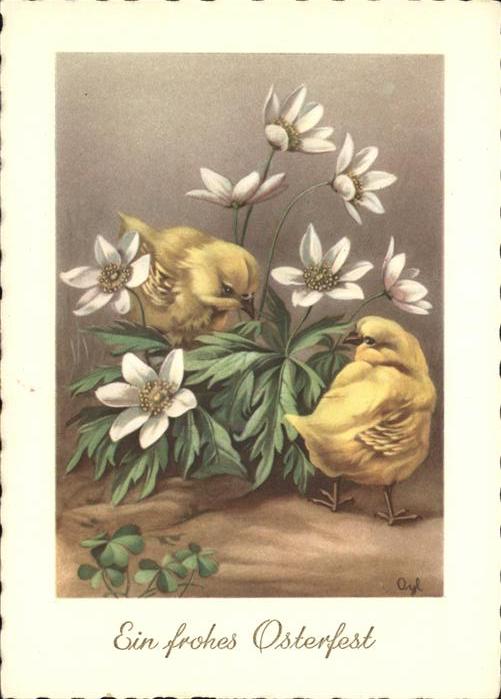 Ostern Easter Paques Küken Blumen Amag-Verlag 2219