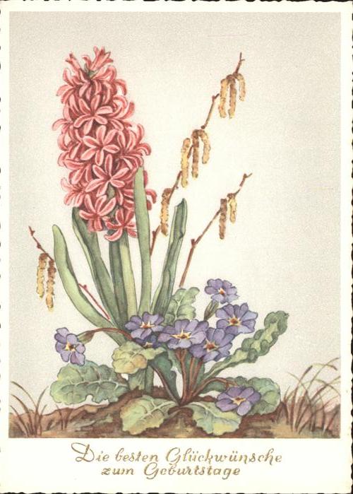Blumen Geburtstag