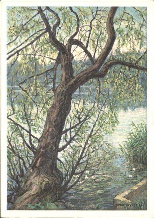 Baeume Trees Weide am Wasser Künstlerkarte Hermann M