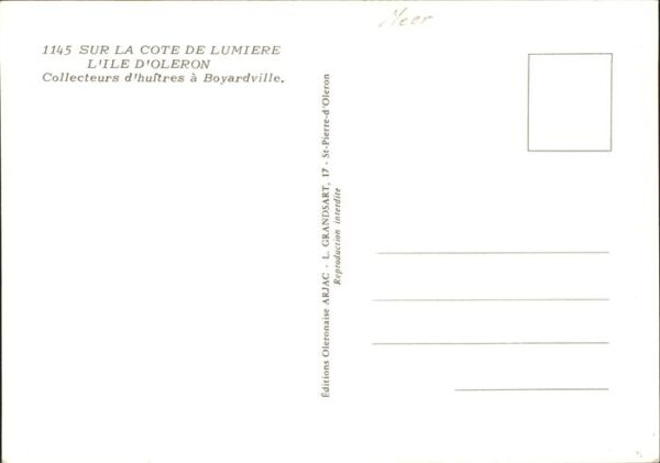Meerestiere Austern Cote de Lumiere L'Ile d_Oleron – Bild 2