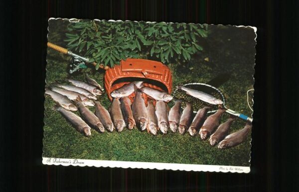 Fische Native American Rainbow
