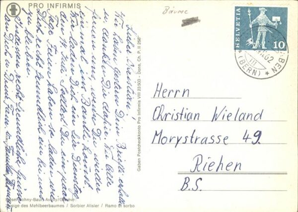 Kuenstlerkarte Liesel Bohny-Baur Zweige Mehlbeerbaum S – Bild 2