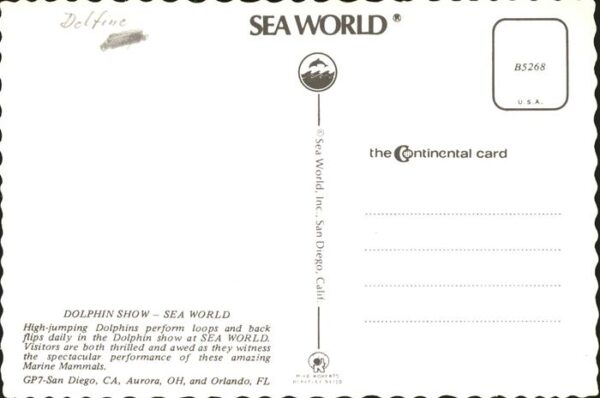 Delfine Delphine Dolphins Dauphins Delfi Sea World San Diego California – Bild 2