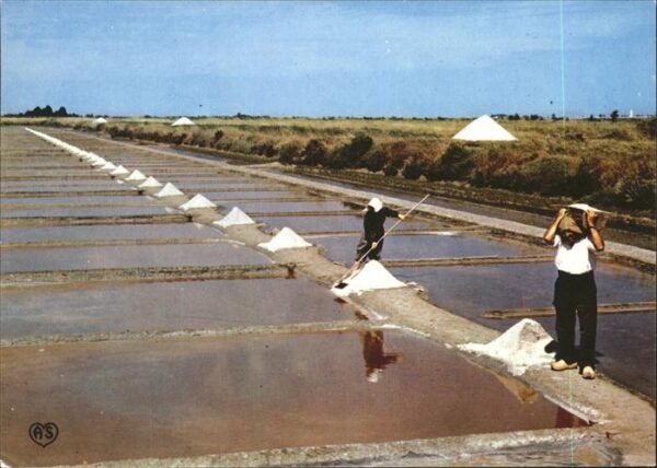 Salzgewinnung Ile de Re Marais Salants