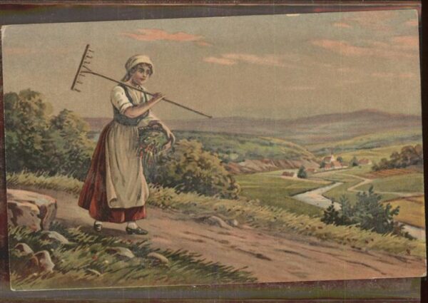 Landwirtschaft Harke Wernau-Pastell Nr. 910