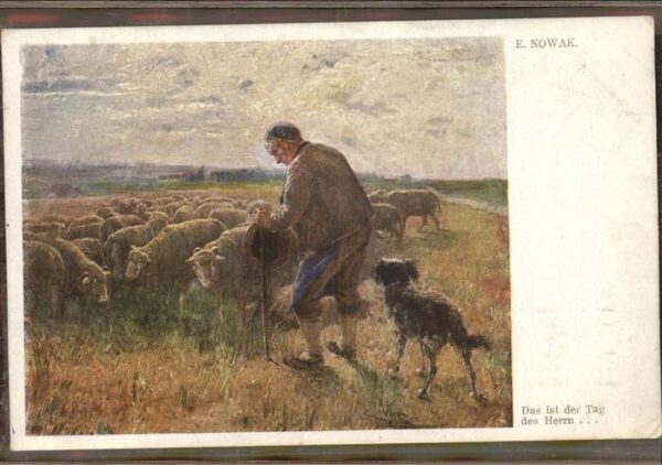 Hirte Schafe Hund Künstlerkarte E. Nowak