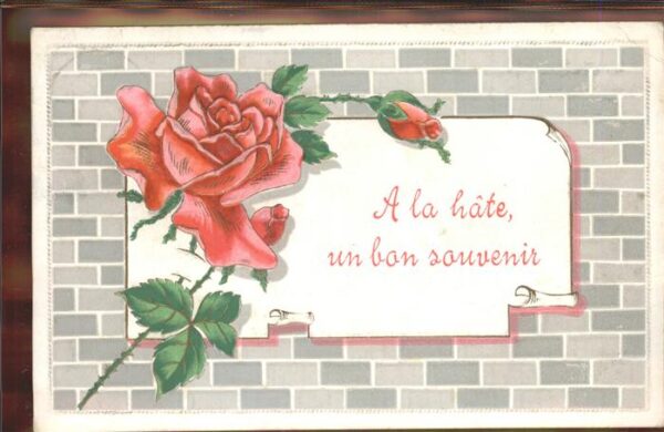 Rose Leernes Frankreich