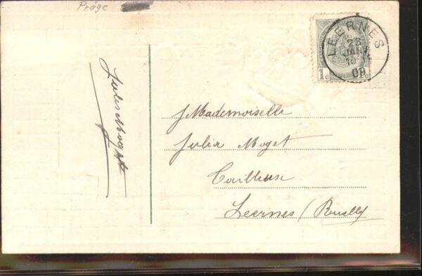 Rose Leernes Frankreich – Bild 2