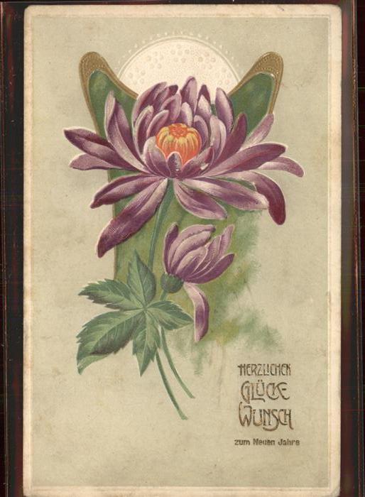 Neujahr Blume