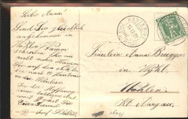 Rosen Frankreich – Bild 2
