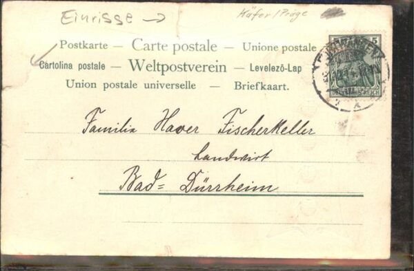 Marienkaefer – Bild 2
