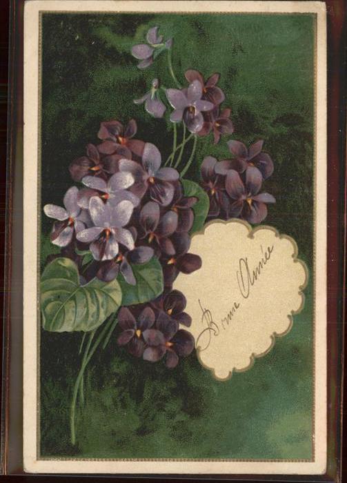 Neujahr Blumen Frankreich