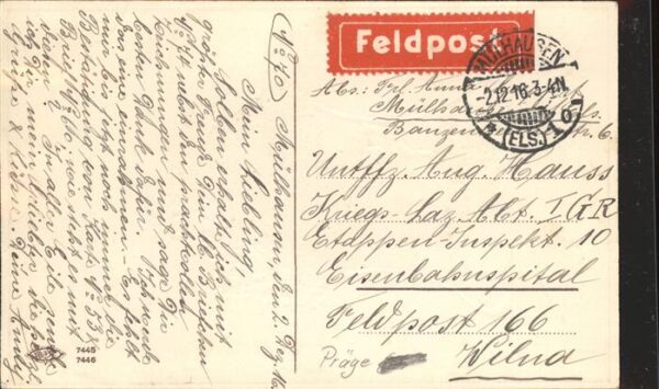 Brieftaube Carrier Pigeon voyageur Mülhausen – Bild 2