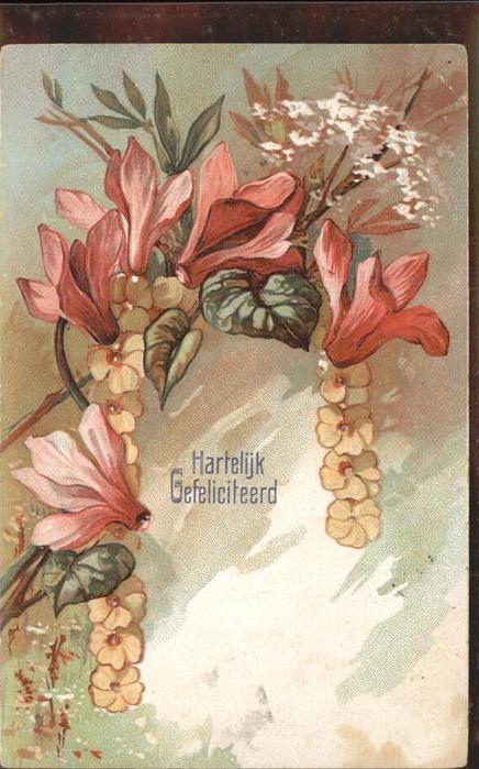 Geburtstag Blumen Niederlande