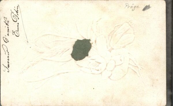 Blumen – Bild 2