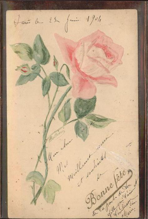 Rose Frankreich