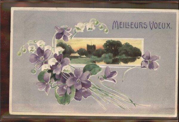 Blumen Veilchen