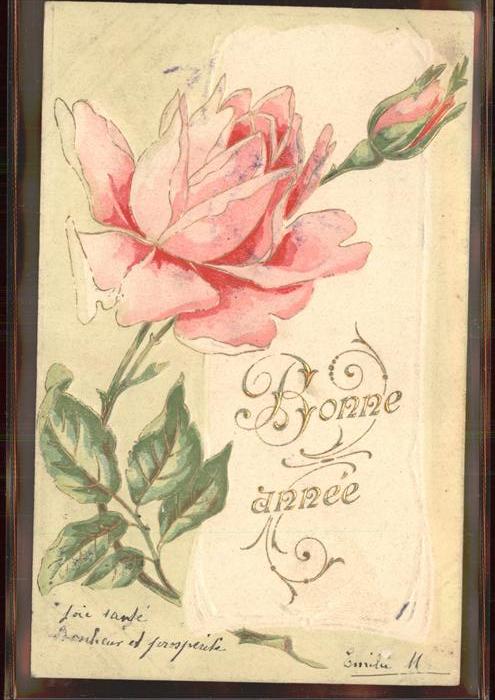Rose Neujahr Frankreich