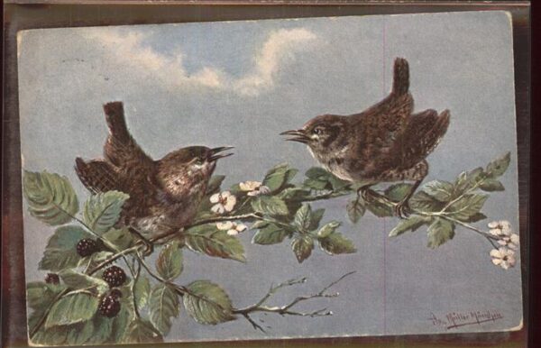 Voegel Himbeeren Künstlerkarte