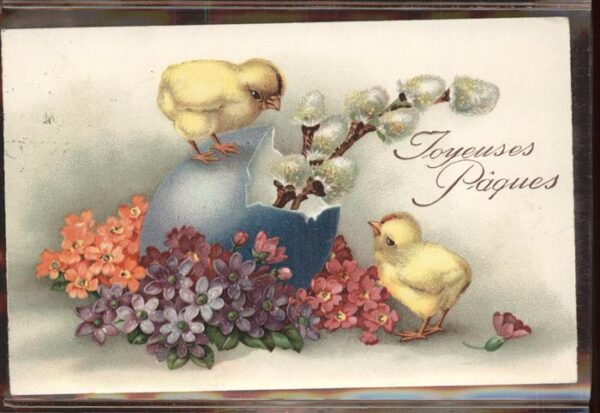 Ostern Easter Paques Küken Weidenkätzchen Blumen Ei
