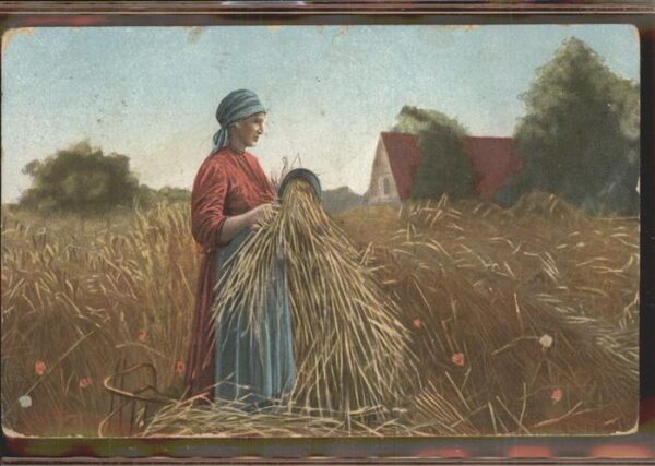 Landwirtschaft Heuernte sGravenhage