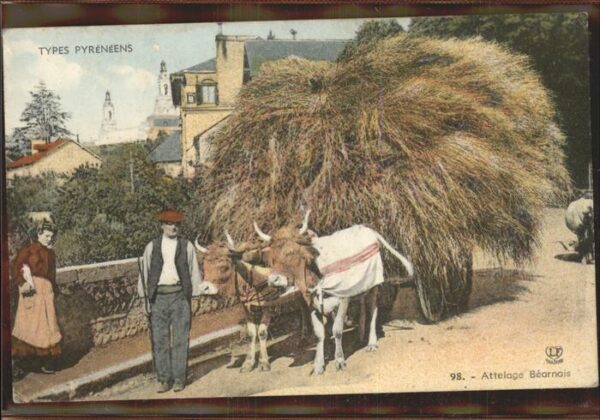 Landwirtschaft Types Pyreneens Kühe Heuwagen
