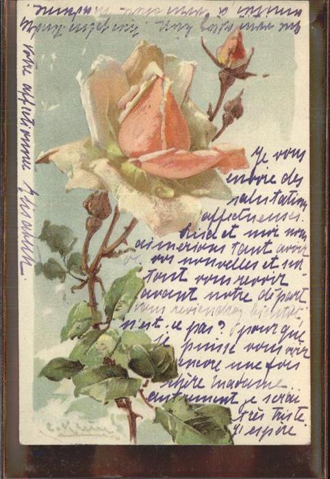 Klein Catharina Kuenstlerlitho Rose
