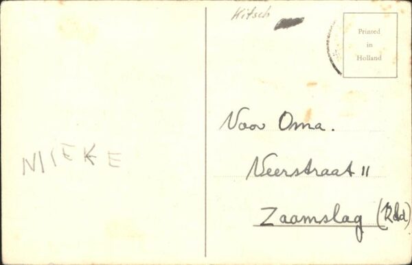 Glueckwunsch Blumen – Bild 2
